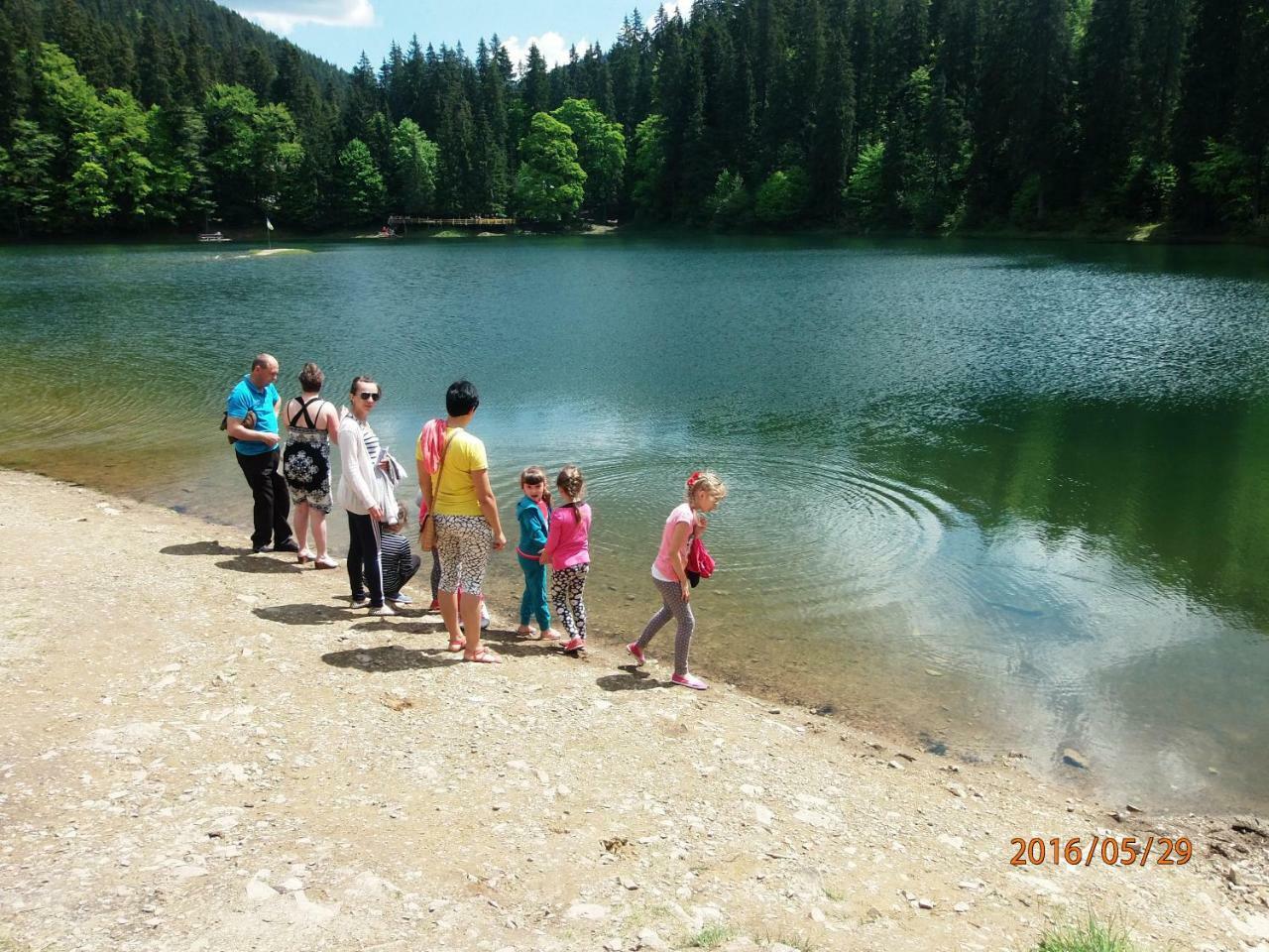 Family Green Sasovka  Kültér fotó